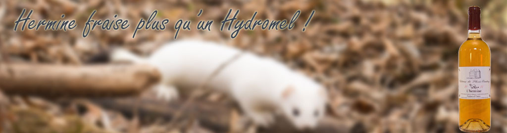 Hermine (hydromel à la fraise)